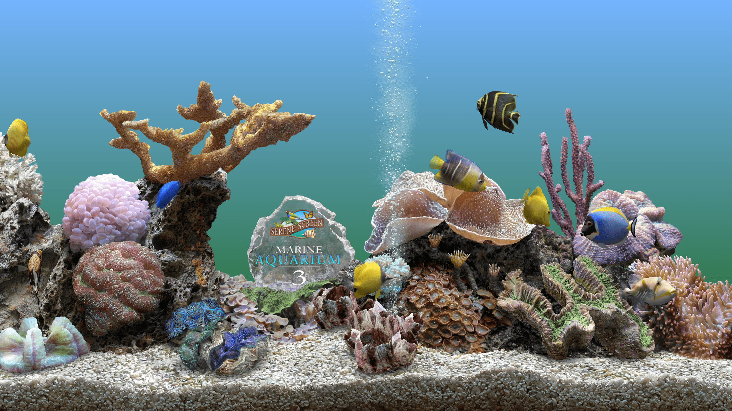 3D鱼屏保 v3.3.6369-第3张图片-内求网