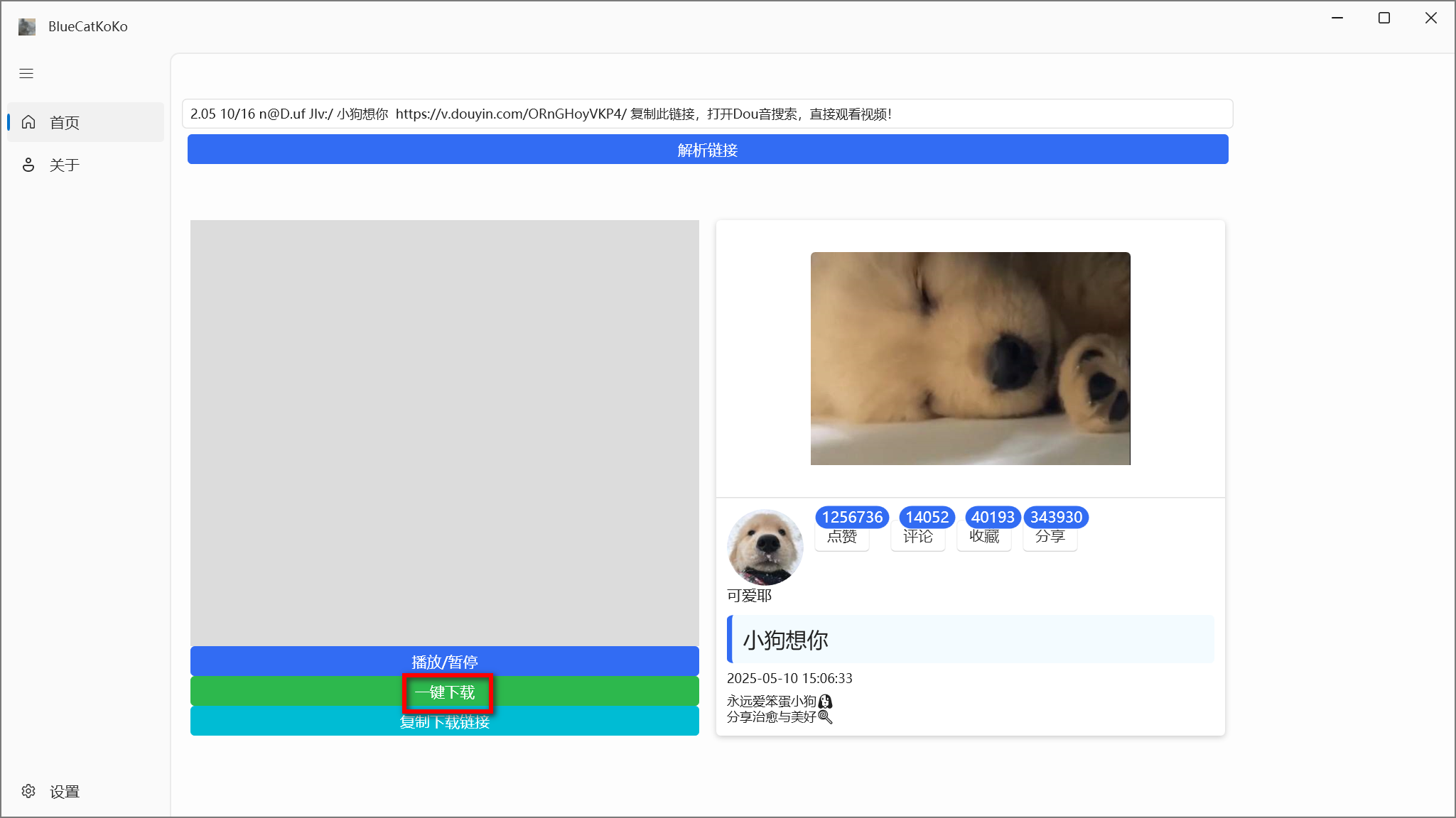 BlueCatKoKo v1.8.3，抖音快手视频无水印下载-第4张图片-内求网