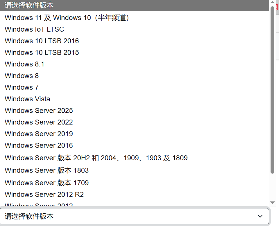 在线KMS-一键激活Windows系统和Office软件-第2张图片-内求网