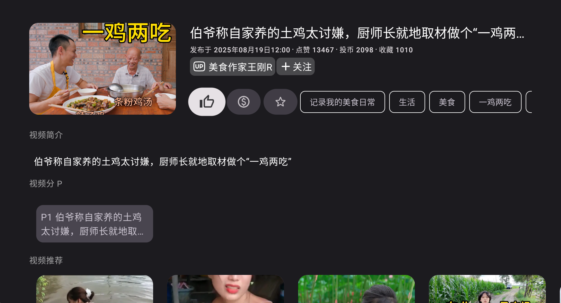 BV v0.3.3，第三方哔哩哔哩TV端-第5张图片-内求网