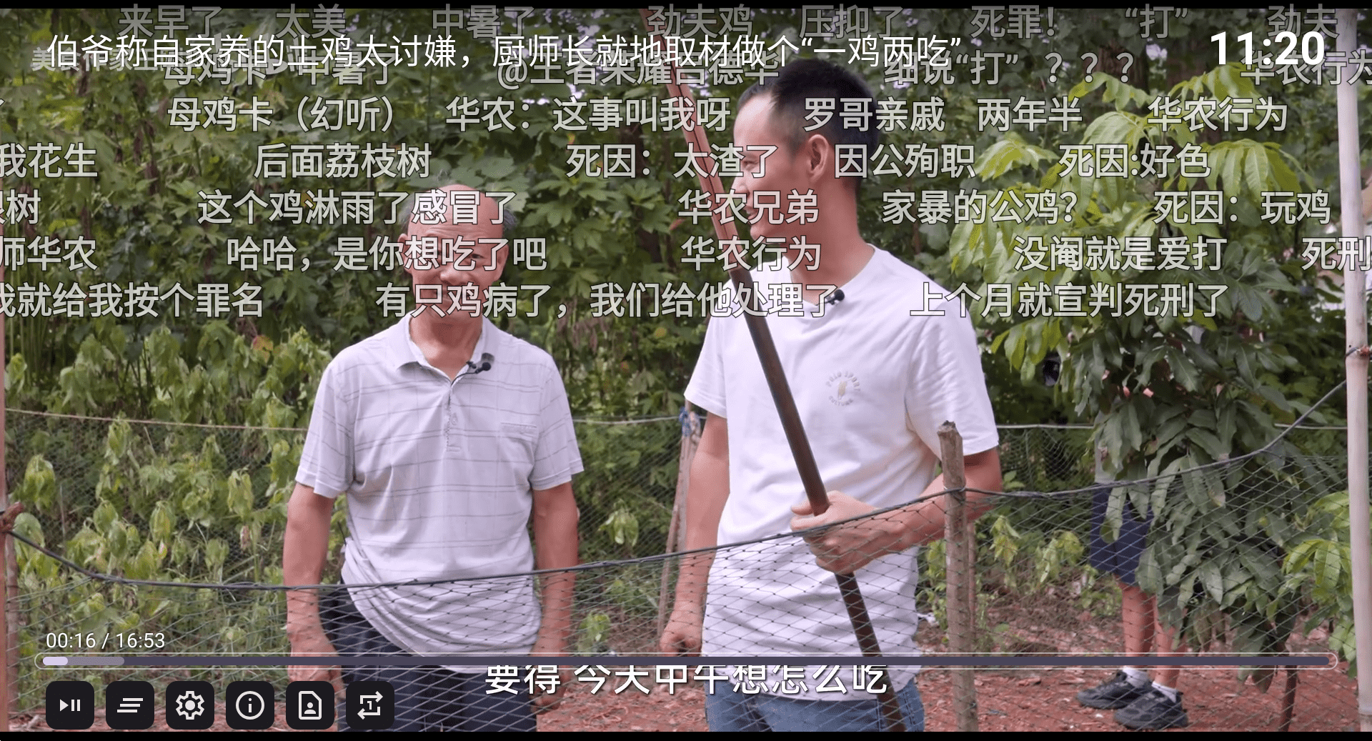 BV v0.3.3，第三方哔哩哔哩TV端-第6张图片-内求网