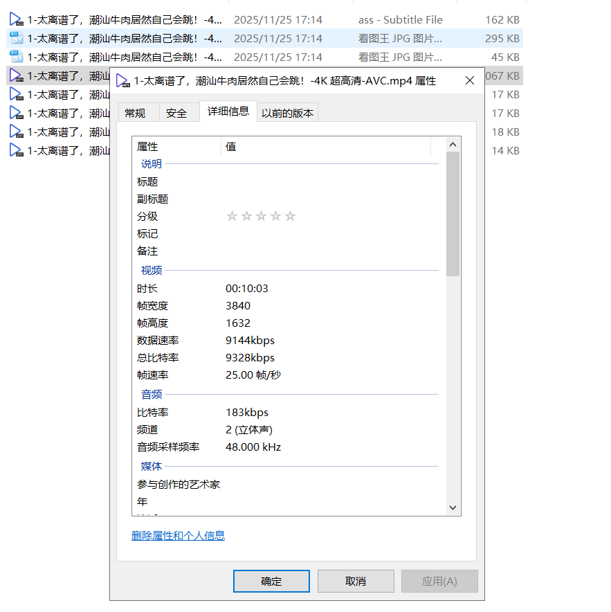 哔哩哔哩视频下载器 v1.0.0-第5张图片-内求网